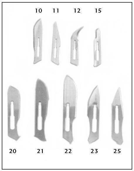 Stainless Steel Surgeon Blades (#22)