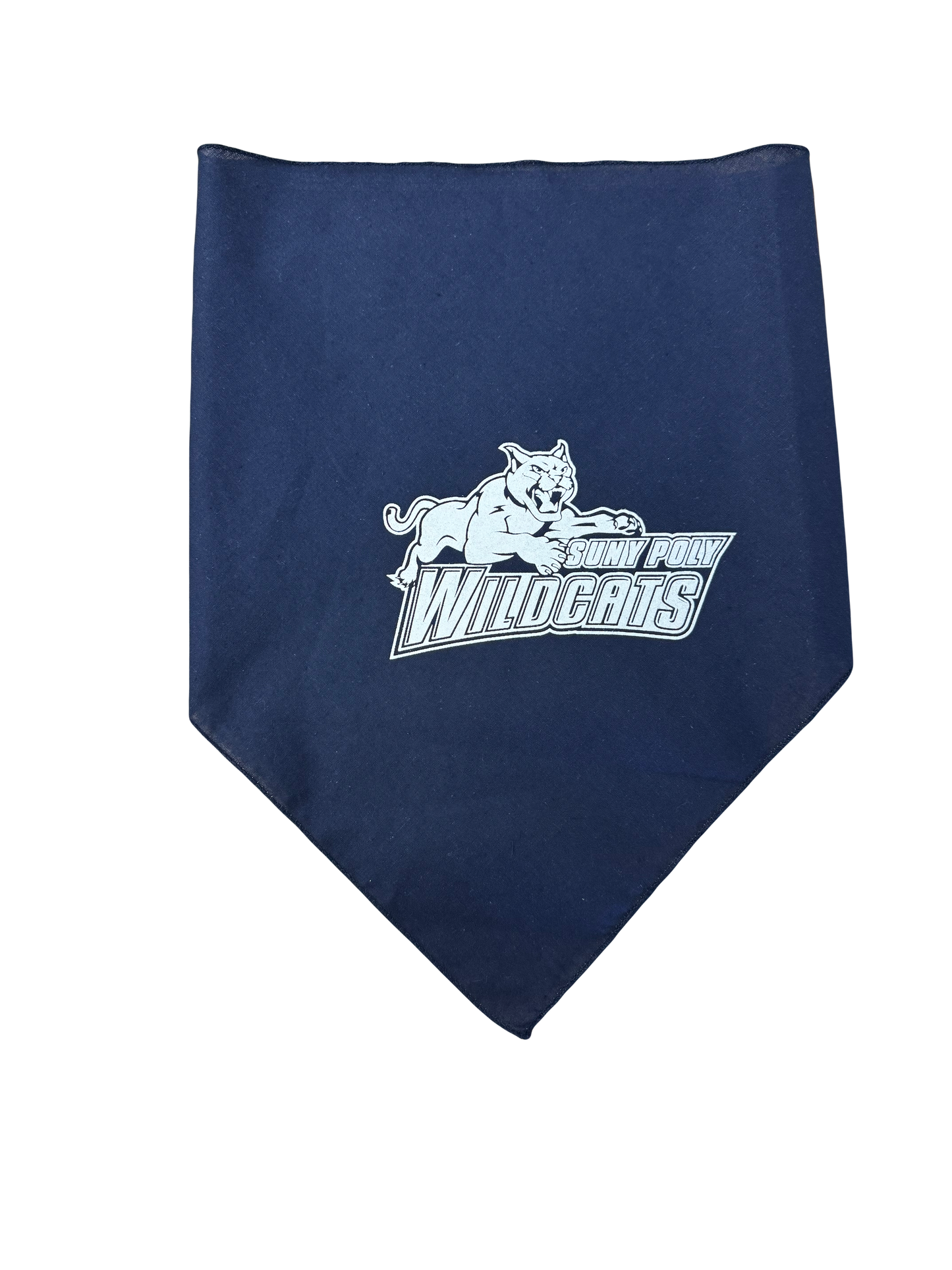 Doggie Bandana