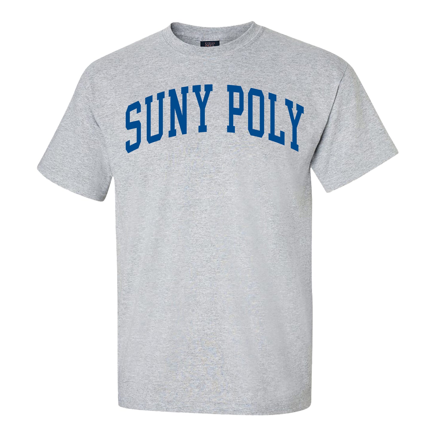 Classic T-Shirt Gray